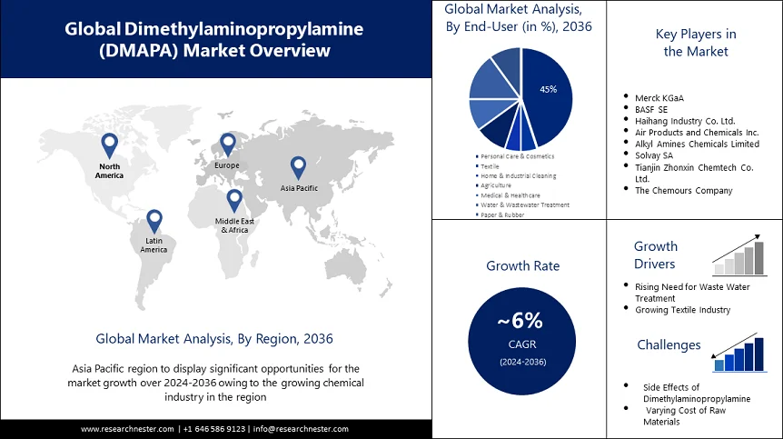 Dimethylaminopropylamine (DMAPA) Market  Overview